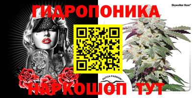 стафф Балаково