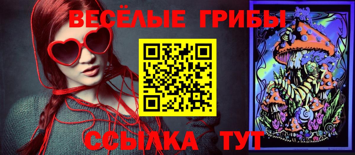 Галлюциногенные грибы Psilocybine cubensis  Псилоцибиновые грибы Psilocybine cubensis  Ефремов  Вход с VPN 